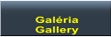 Galéria Gallery